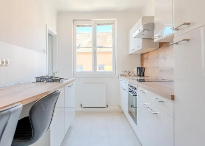 Danube Living Collection - Krems Wilhelm-Gause-Gasse - 90Qm Apartment Mit 3 Schlafzimmern * 多瑙河畔克雷姆斯